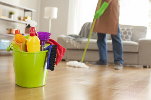 Domestic Cleaning