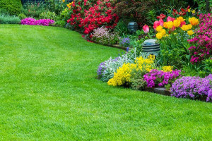 Gardening Services